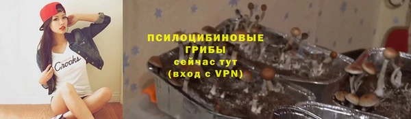 гашик Армянск