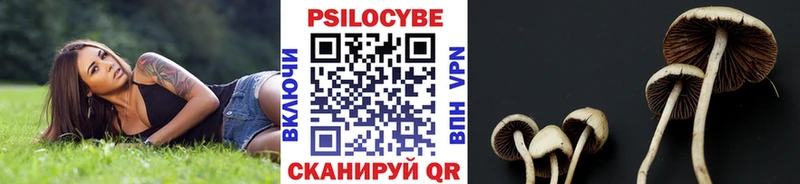 кракен сайт  Ступино  Галлюциногенные грибы мицелий  хочу  